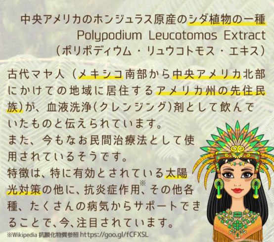 まっしろ美白習慣