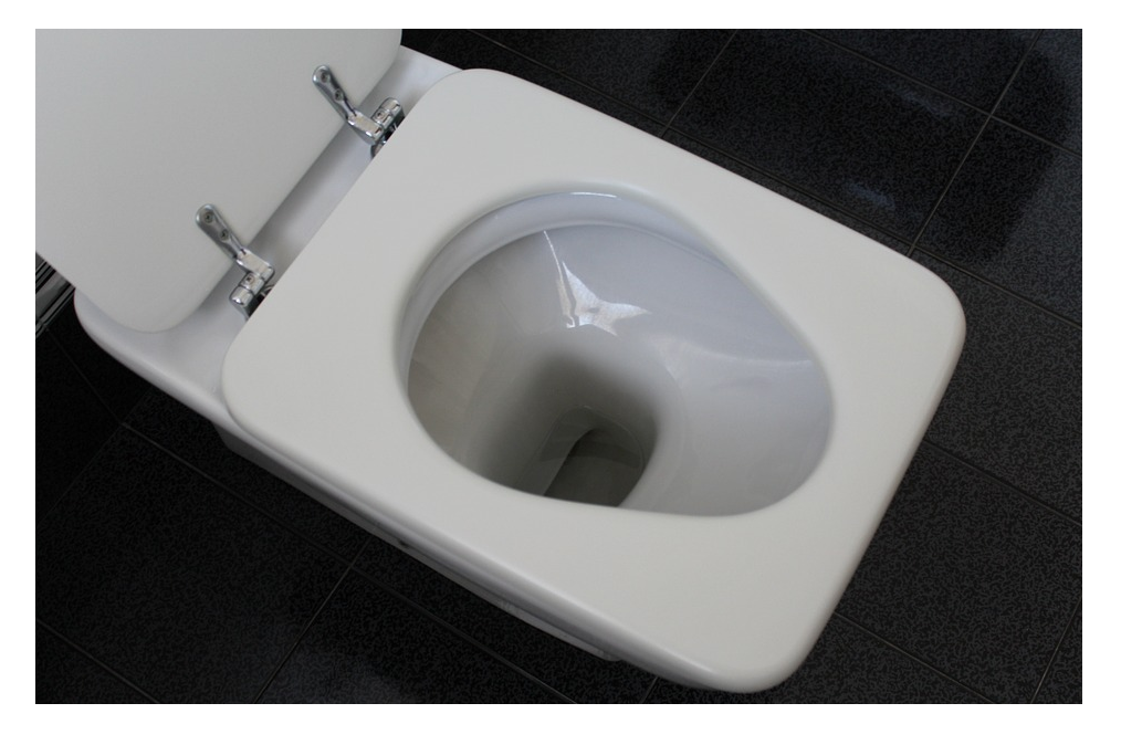 クエン酸の効果的な使い方4-トイレの掃除-